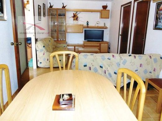 Maison de luxe à vendre à Lloret de Mar, 500 000 €, Photo 6