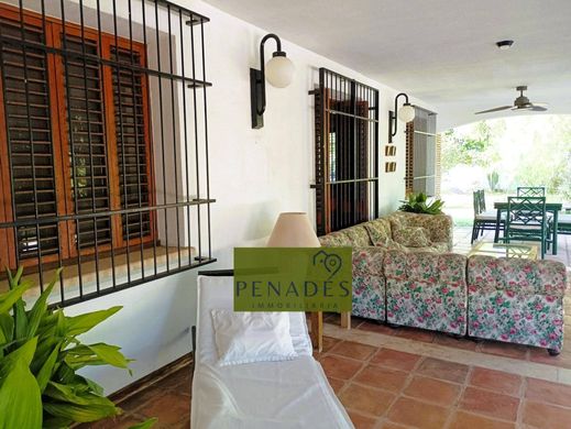 Luxury House for sale in Ontinyent, 450 000 €, Photo 6