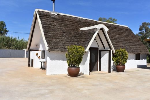 Luxury House for sale in Amposta, 426 000 €, Photo 5