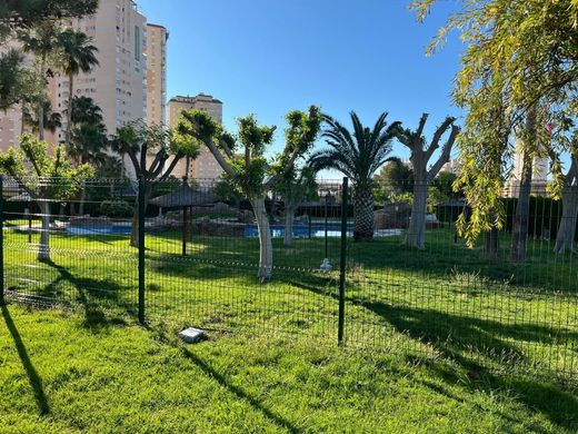 Appartement de luxe à vendre à El Campello, 419 000 €, Photo 2