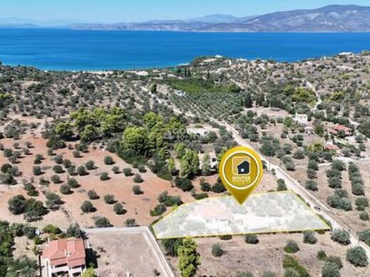Maison de luxe à vendre à Kranídi, 350 000 €, Photo 2