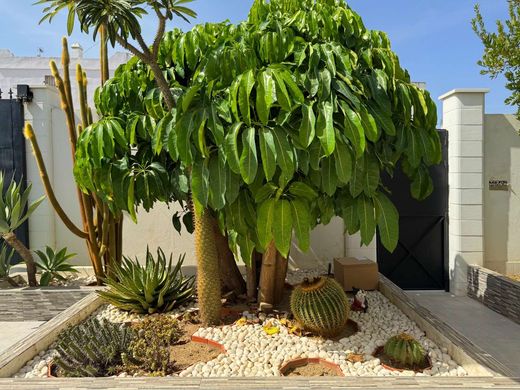 Maison de luxe à vendre à Alhaurín de La Torre, 735 000 €, Photo 7
