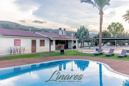 Maison de luxe à vendre à Murcia, 1 190 000 €, Photo 3