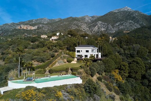 Maison de luxe à vendre à Istán, 3 495 000 €, Photo 5