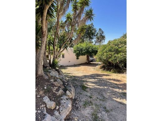 Maison de luxe à vendre à Santa Eulària des Riu, 1 200 000 €, Photo 3