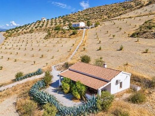 Maison de luxe à vendre à Alhama de Granada, 575 000 €, Photo 4