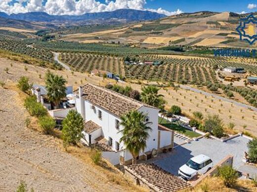 Maison de luxe à vendre à Alhama de Granada, 575 000 €, Photo 5