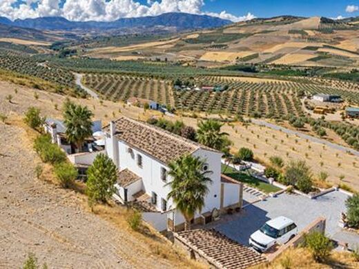 Maison de luxe à vendre à Alhama de Granada, 575 000 €, Photo 5