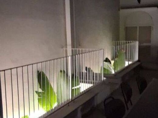 Luxury House for sale in Bari, 1 200 000 €, Photo 3