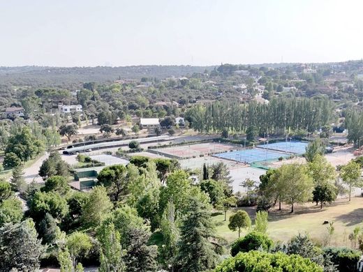 Maison de luxe à vendre à Madrid, 3 450 000 €, Photo 6