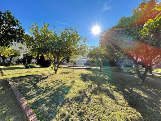 Luxury House for sale in Spotorno, 1 190 000 €, Photo 3