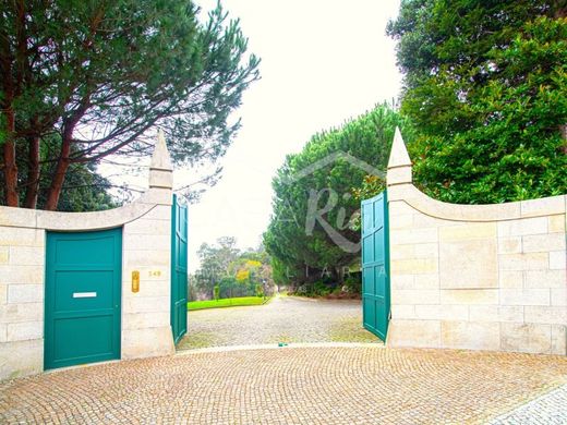 Maison de luxe à vendre à Oliveira de Azemeis, 5 500 000 €, Photo 2