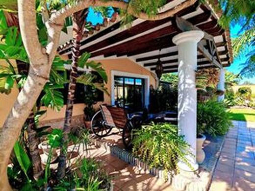 Maison de luxe à vendre à Chiclana de La Frontera, 420 000 €, Photo 7