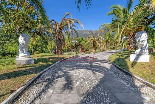 Maison de luxe à vendre à Camaiore, 3 500 000 €, Photo 3