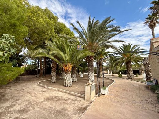 Maison de luxe à vendre à Elda, 799 000 €, Photo 6