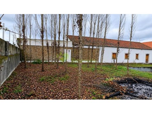 Luxury House for sale in Constância, 490 000 €, Photo 6